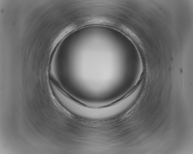 X0000081421330200701261544