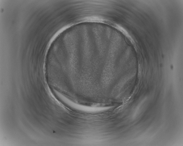 X0000081421331200701261544