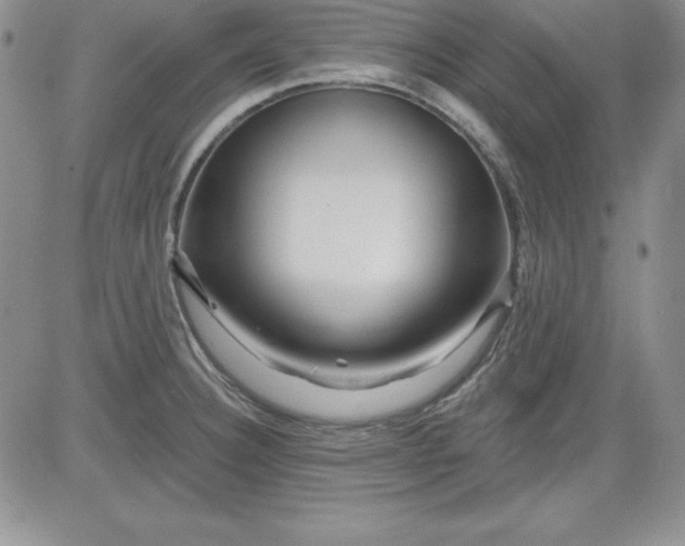 X0000081421332200701261544