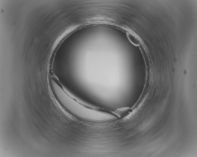 X0000081421333200701261544