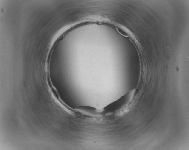 X0000081421335200701261544