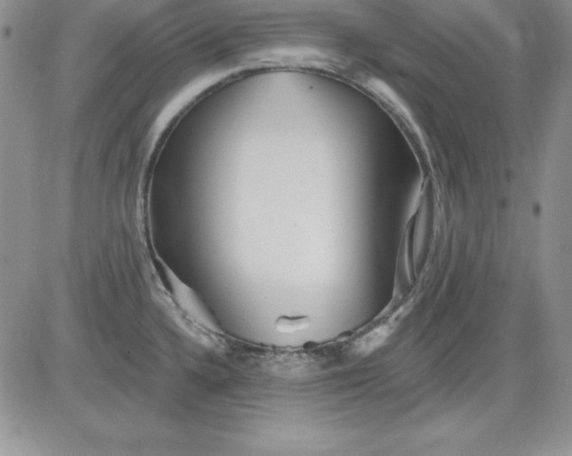 X0000081421336200701261544