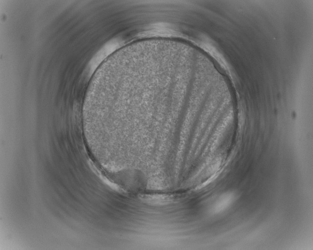 X0000081421337200701261544