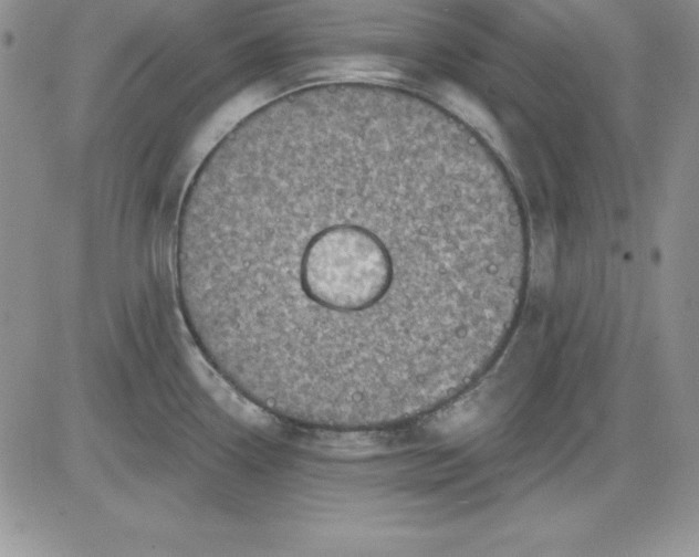 X0000081421338200701261544