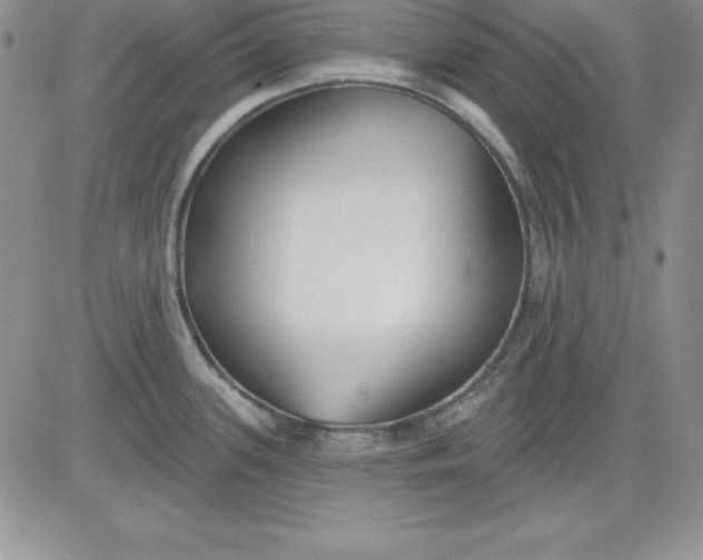 X0000081421339200701261544