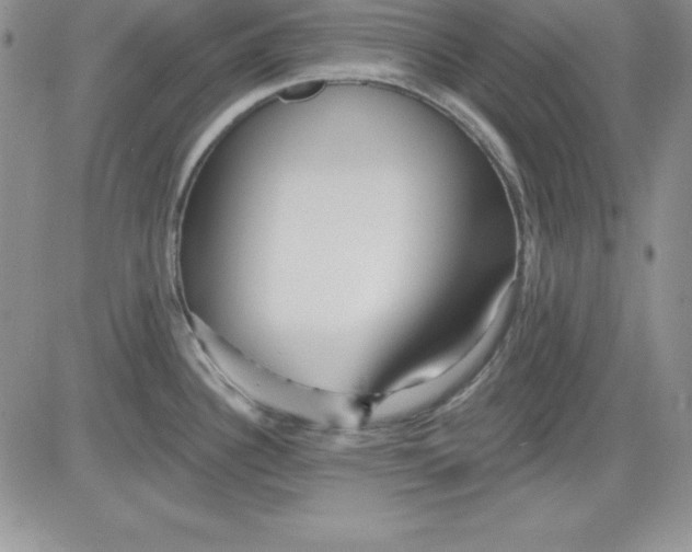 X0000081421340200701261544