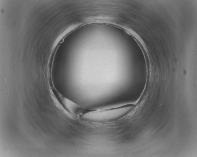 X0000081421341200701261544