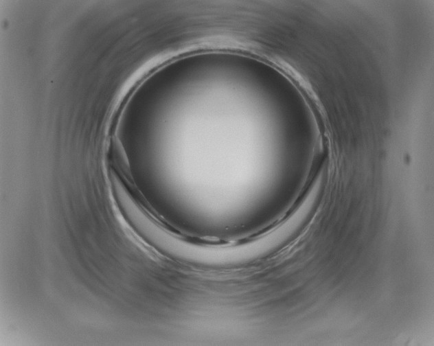 X0000081421342200701261544