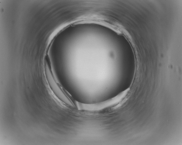 X0000081421344200701261544