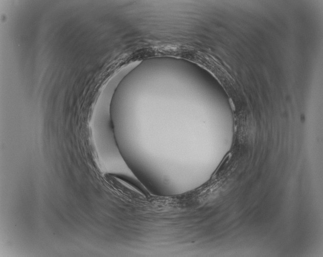 X0000081421345200701261543