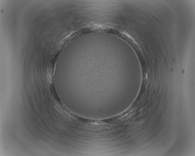 X0000081421348200701261543