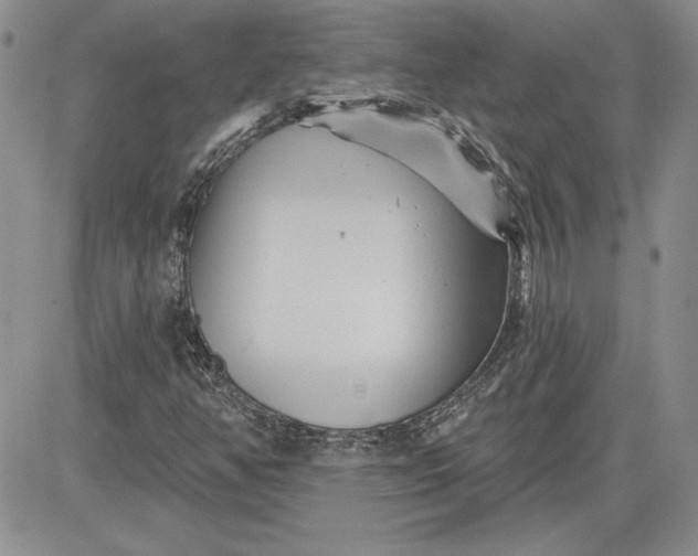 X0000081421350200701261543