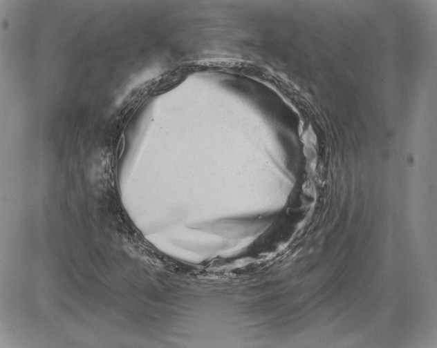 X0000081421351200701261543