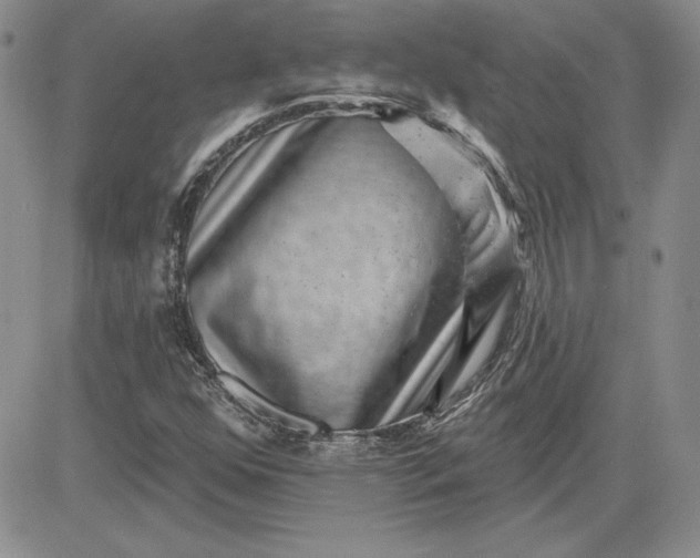 X0000081421352200701261543