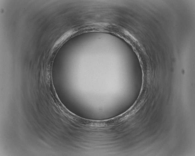 X0000081421354200701261543