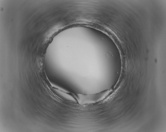 X0000081421355200701261543