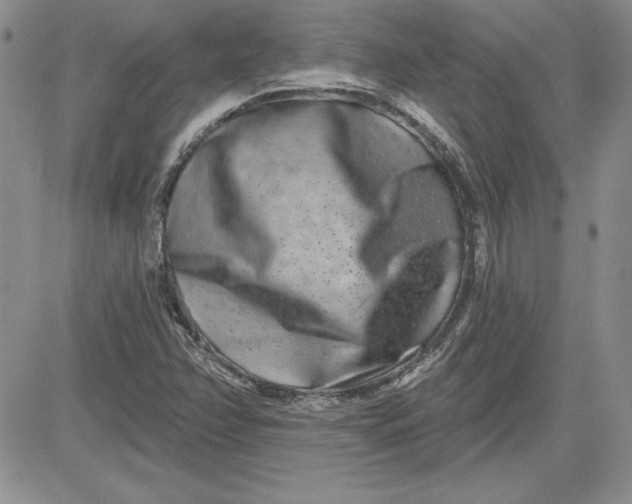 X0000081421358200701261543