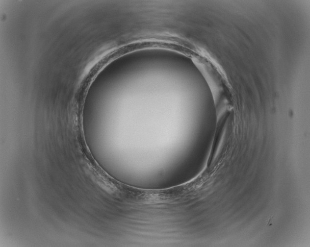 X0000081421360200701261543