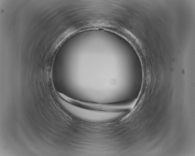 X0000081421361200701261543