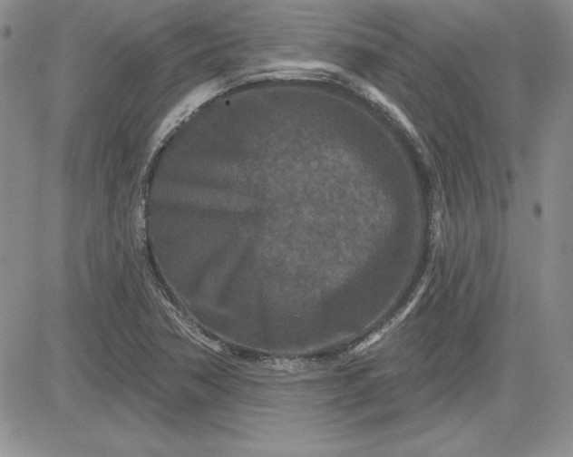 X0000081421362200701261543