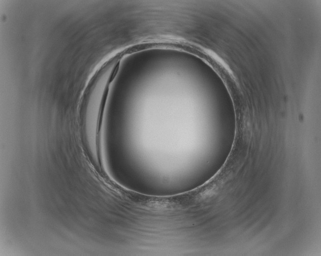 X0000081421364200701261543