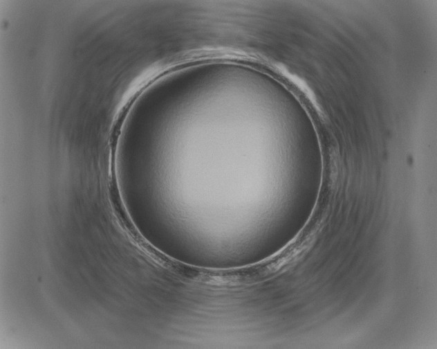 X0000081421365200701261543