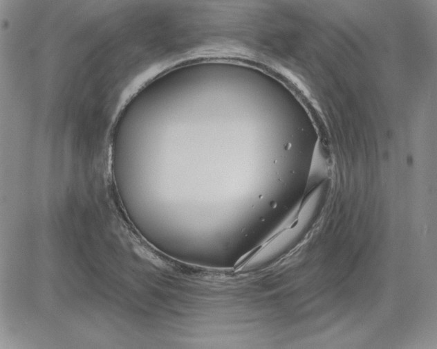 X0000081421366200701261543