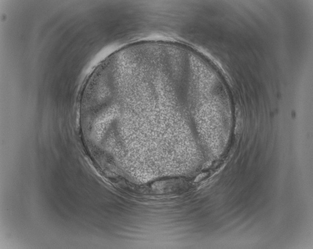 X0000081421367200701261543