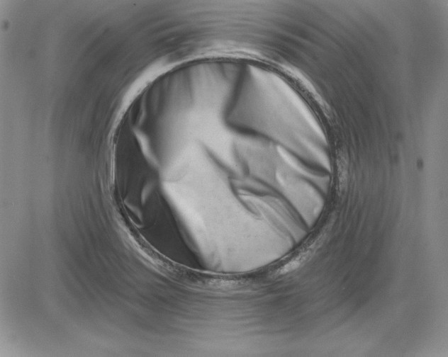 X0000081421371200701261543