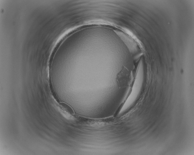 X0000081421372200701261543