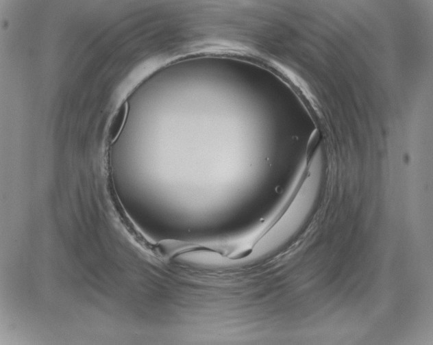 X0000081421375200701261543