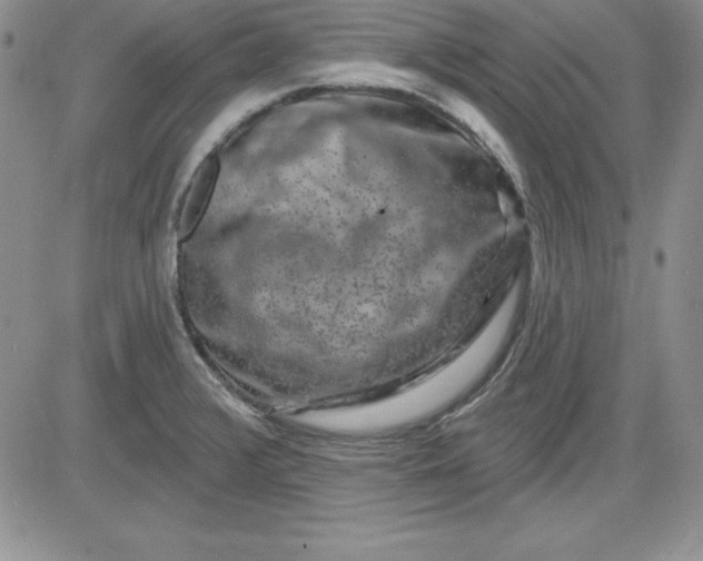 X0000081421376200701261543