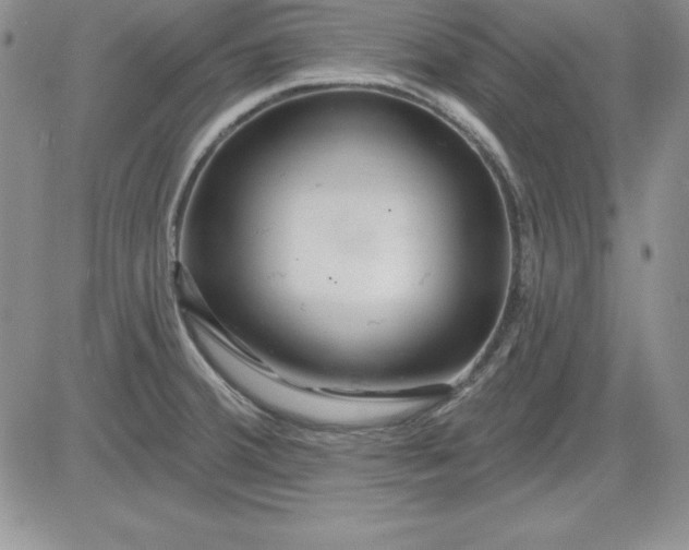 X0000081421380200701261543