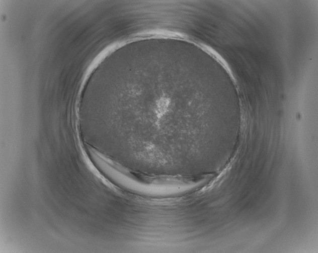 X0000081421381200701261543