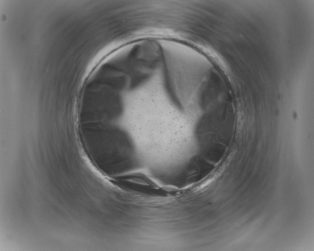 X0000081421382200701261543