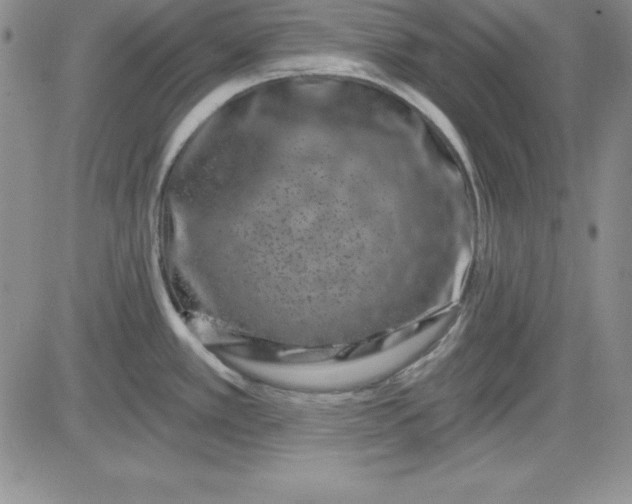 X0000081421389200701261543