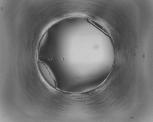 X0000081421391200701261543