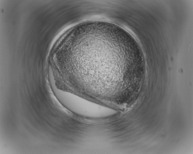 X0000081421392200701261543