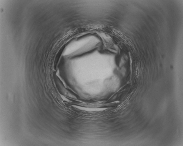 X0000081421393200701261542