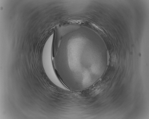 X0000081421394200701261542