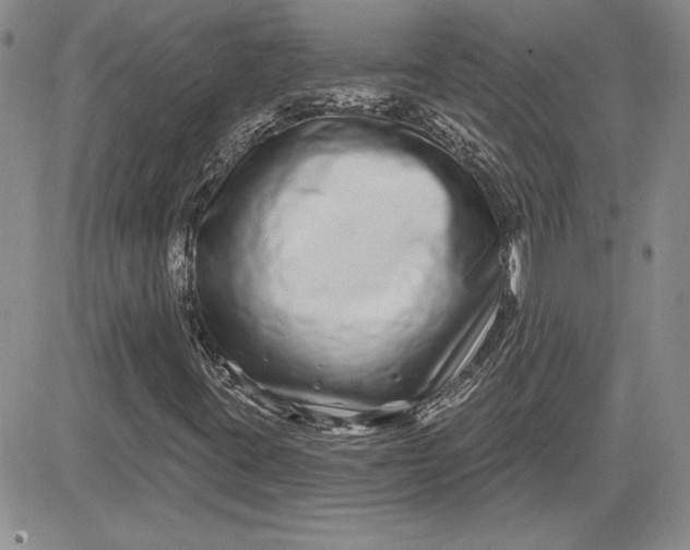 X0000081421395200701261542