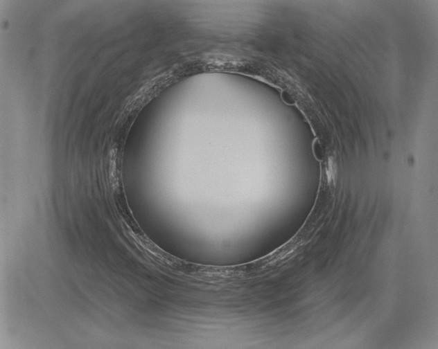 X0000081421396200701261542