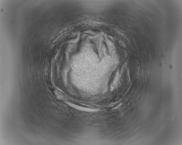 X0000081421397200701261542