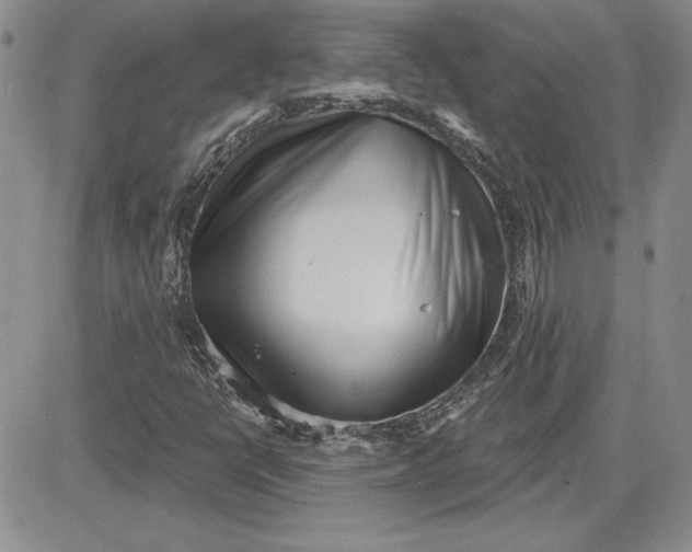 X0000081421398200701261542