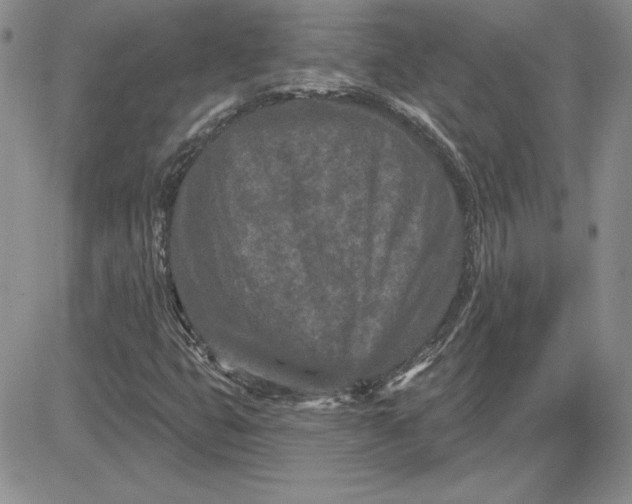 X0000081421399200701261542