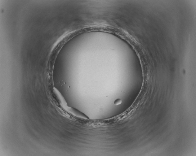 X0000081421400200701261542