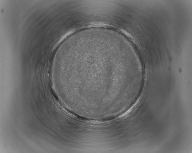 X0000081421401200701261542