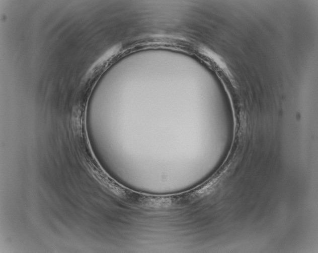 X0000081421403200701261542