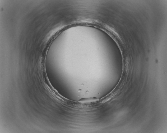 X0000081421404200701261542