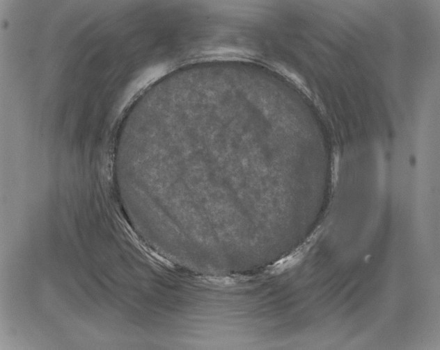 X0000081421405200701261542